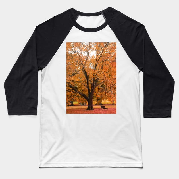 Nature's Red Carpet Baseball T-Shirt by rozmcq